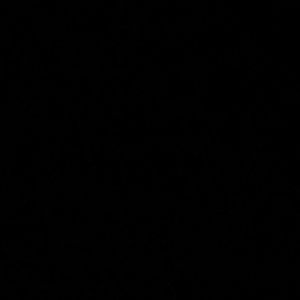 Meet your Posher, Ralph